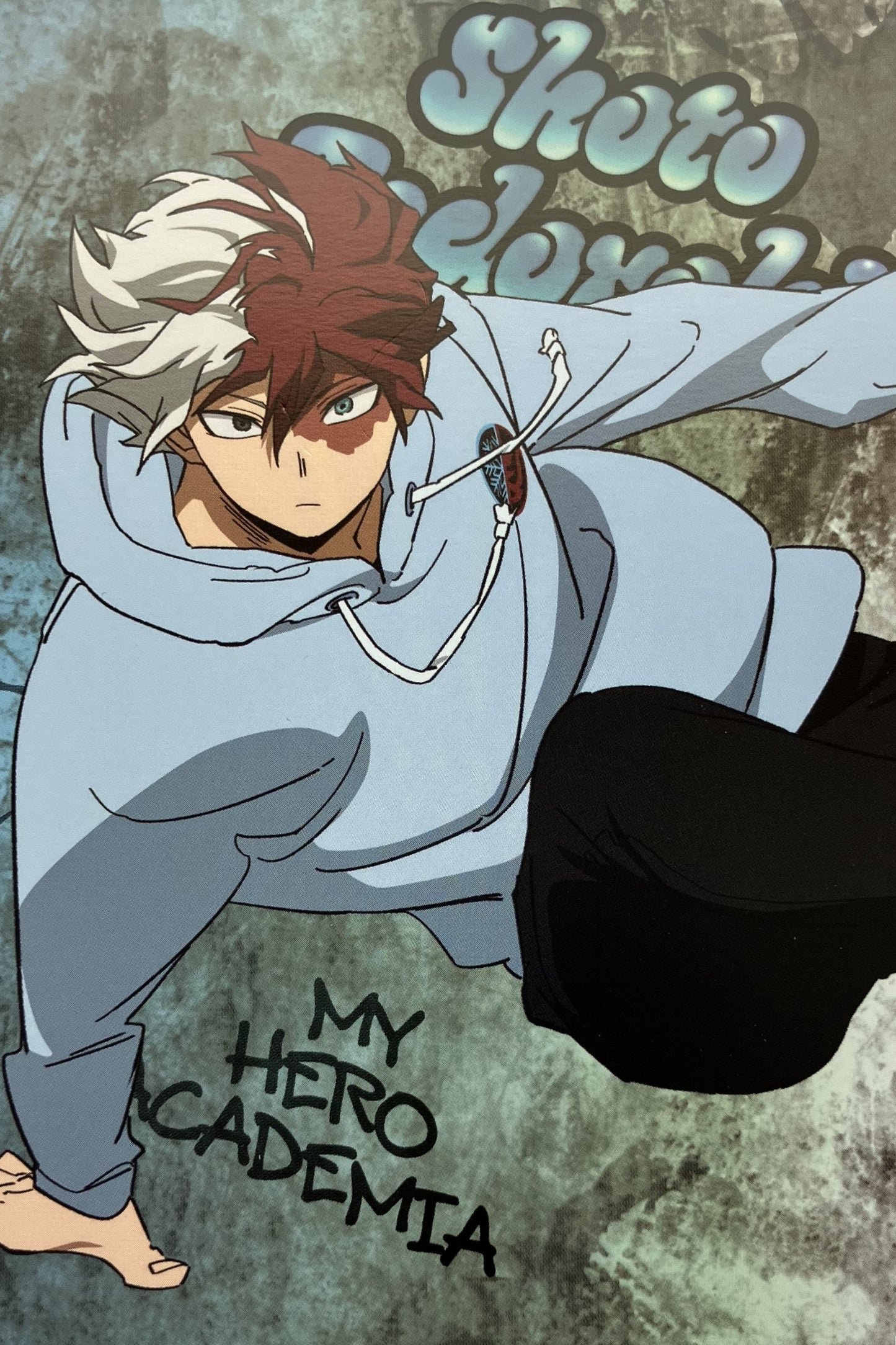 Shoto Todoroki Animate Postcard