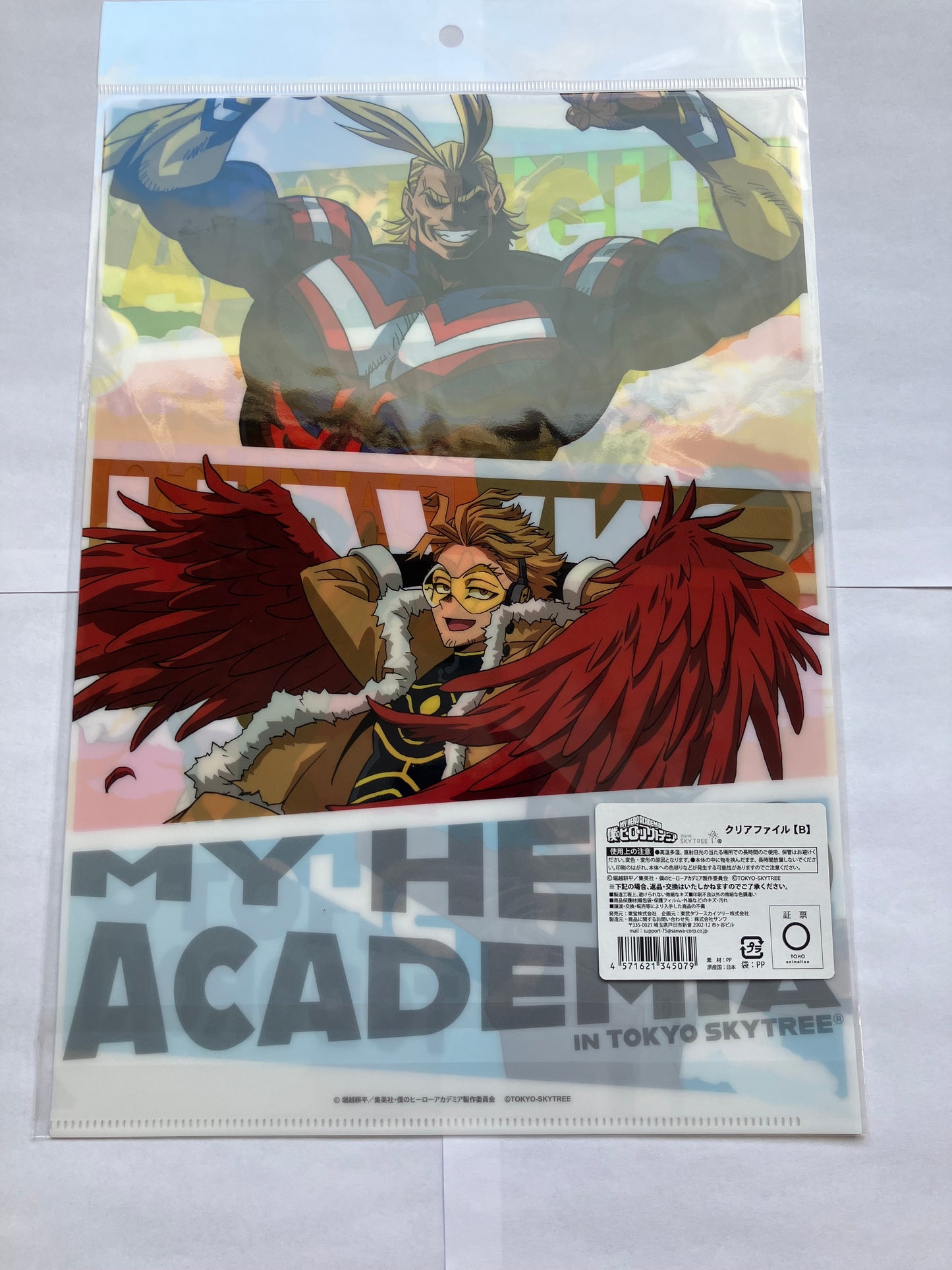 TSxMHA Small Poster/Fileholder