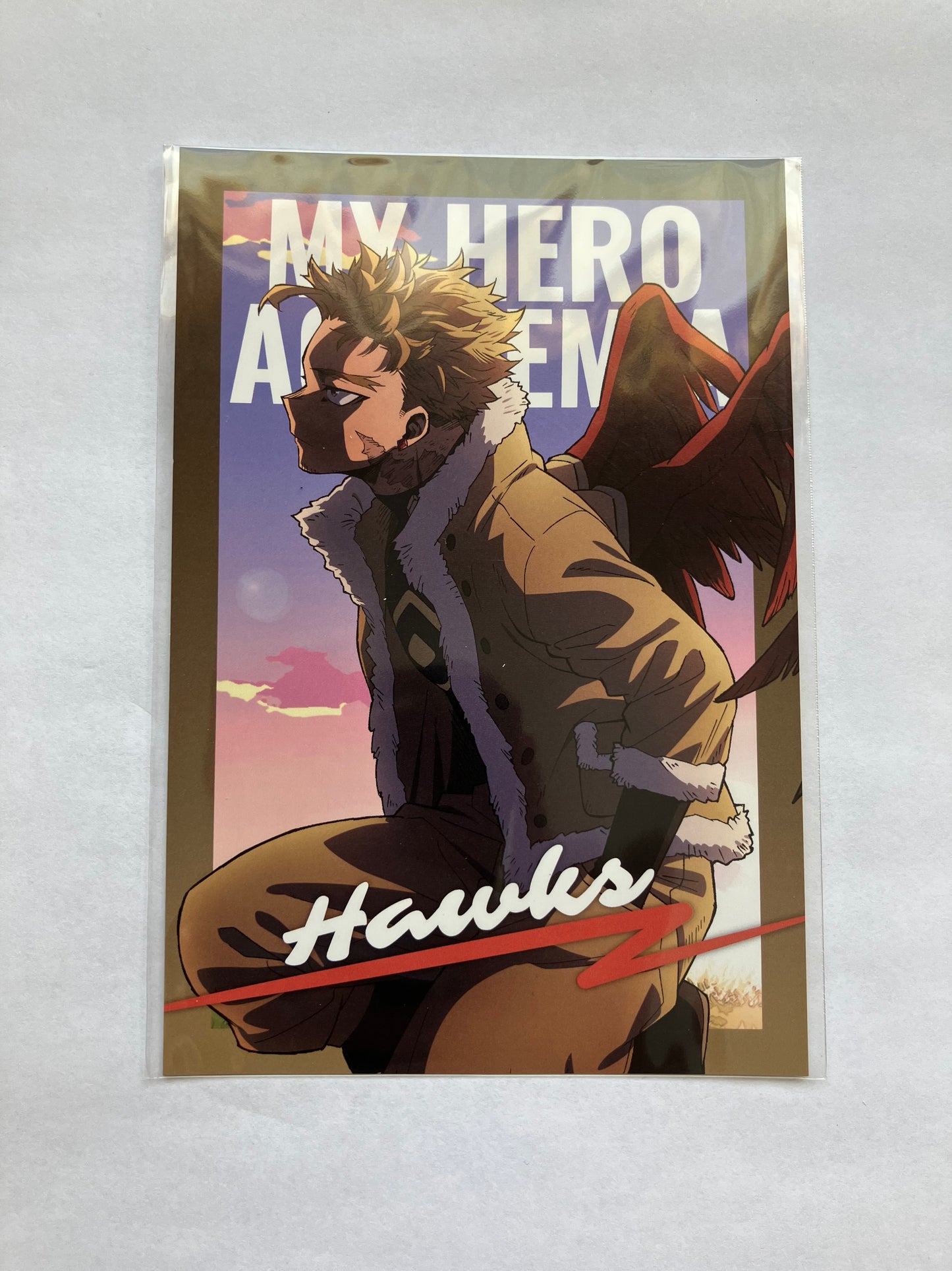 Hawks Hero Plaza Postcard